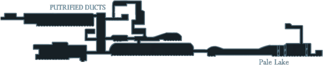 Putrifield ducts